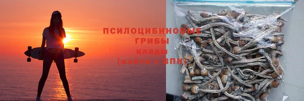 МДМА Богданович