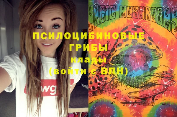МДМА Богданович