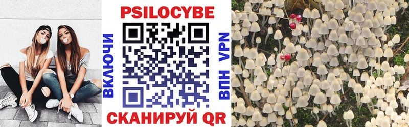 Галлюциногенные грибы прущие грибы  как найти наркотики  Фёдоровский 